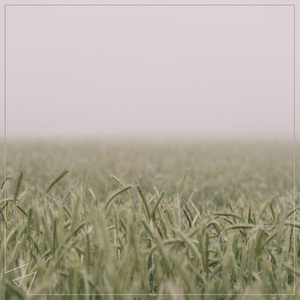 🔞🍌进🍑里❌❌❌
